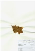 藏品(異枝軟骨凹頂藻)的圖片